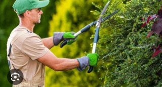 SERVICIO DE JARDINERIA