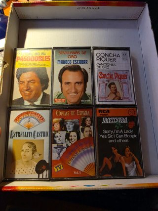 Lote 24 Casetes Vintage Música Variada