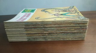 Lote Joyas Literarias Bruguera