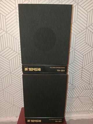 Par de altavoces Tensai TS-201 , 8 ohmios ( 8w).