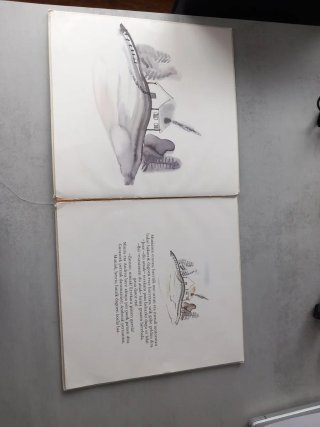 Libro Munia eta Hilargia
