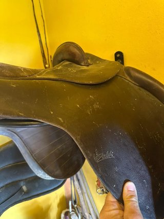 Montura de caballo española