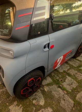 Puerta Citroen AMI