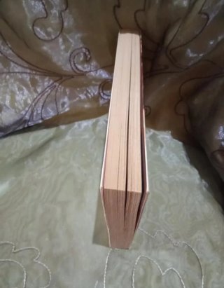 LA MUJER DE AL LADO (Barbara Delinsky)