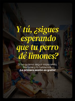 Adiestrador canino Barcelona a domicilio