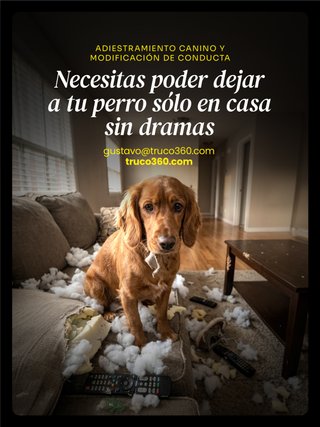Adiestrador canino Barcelona a domicilio