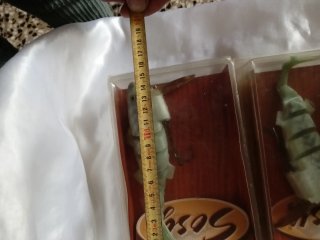 Señuelos de pesca variados