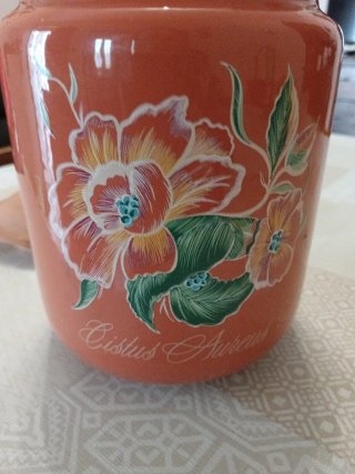 Contenitore terracotta vintage caffè Vergnano