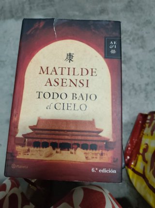 Todo bajo el cielo