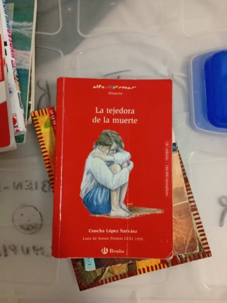 6 libros 2 en valenciano 1 manga y 4 en español