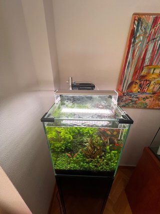 Acuario completo con mueble y accesorios