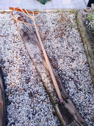 Horca de madera antigua 4 puntas gran tamaño