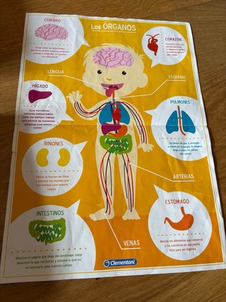 Puzzle El Cuerpo Humano Clementoni 4+