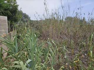 Terreno en venta en Les Salines en Vinaròs