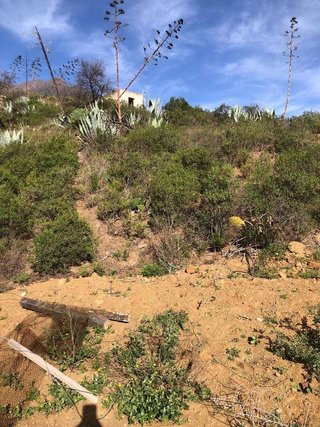 Terreno en venta en Güímar