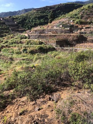 Terreno en venta en Güímar