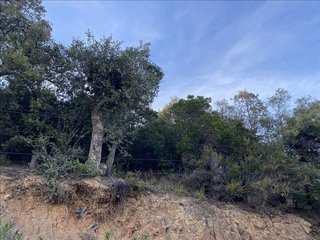 Terreno en venta en Cabanyes-Mas Ambrós-Mas Pallí en Calonge