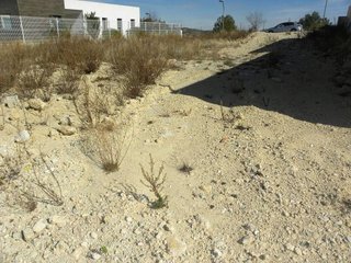 Terreno en venta en Caravaca de la Cruz