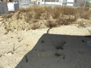 Terreno en venta en Caravaca de la Cruz