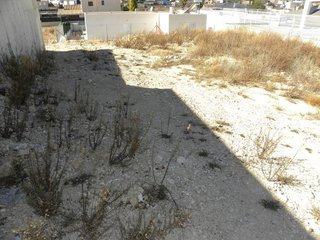Terreno en venta en Caravaca de la Cruz
