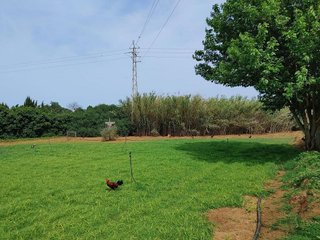 Terreno en venta en Centro - Norte en Chipiona