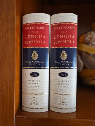 Diccionario de la Real Academia Española del 2001