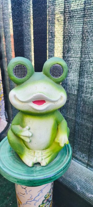 Rana da giardino solare nuova