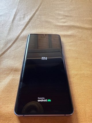 Xiaomi Mi Note 10 Lite Negro