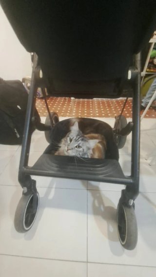 Cochecito Cybex Balios S