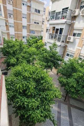 Piso en venta en Camas