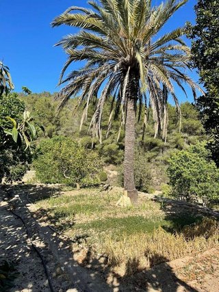 Chalet en alquiler en Ses Figueretes - Platja d'en Bossa - Cas Serres en Ibiza/Eivissa