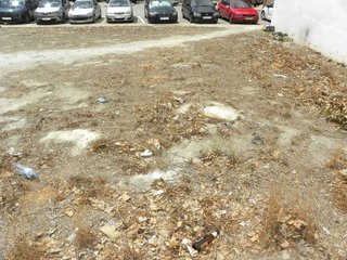 Terreno en venta en Caravaca de la Cruz