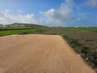 Nave industrial en venta en Marchena