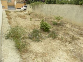 Terreno en venta en Caravaca de la Cruz