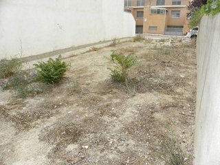 Terreno en venta en Caravaca de la Cruz