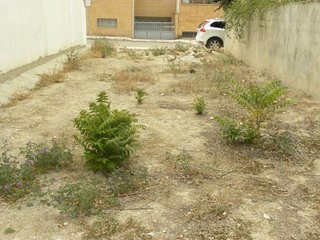 Terreno en venta en Caravaca de la Cruz