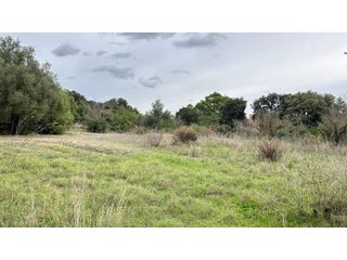 Terreno en venta en Lloseta