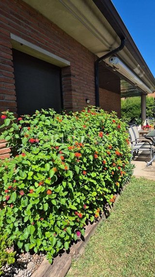 Chalet en venta en Alpicat