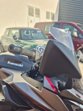 Kawasaki Ninja 1000 sx 2025