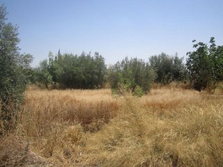 Chalet en venta en Huércal-Overa