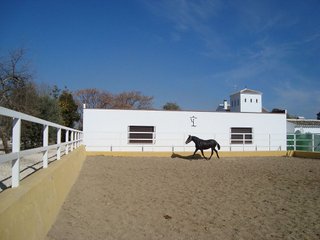 Casa rural en venta en Puebla de Cazalla (La)
