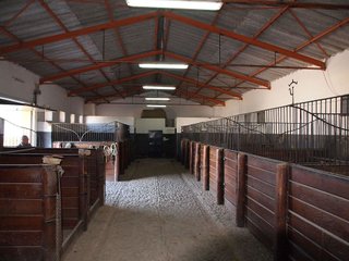 Casa rural en venta en Puebla de Cazalla (La)