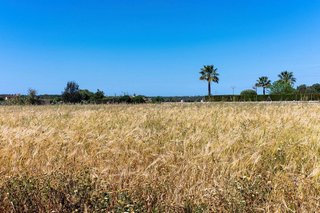 Solar en venta en Santanyí