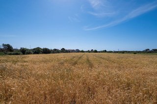 Solar en venta en Santanyí