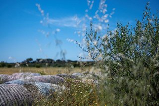 Solar en venta en Santanyí
