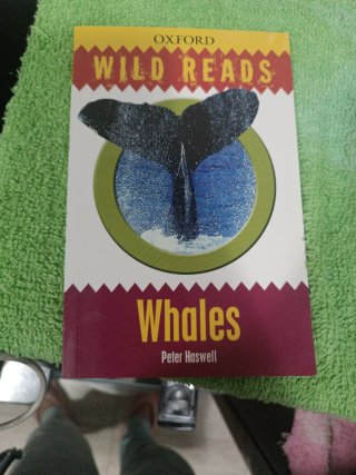 Libro de ingles