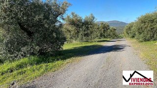Terreno en venta en Oeste en Mérida