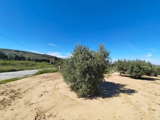 Solar en venta en Mengíbar