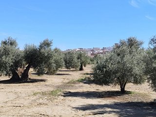 Solar en venta en Mengíbar