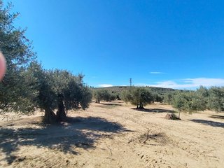 Solar en venta en Mengíbar